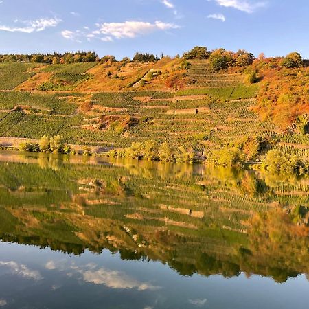 Neue Loft Im Alten Kelterhaus - Urlaub Im Wein- Und Ferienort Bekond Eksteriør billede